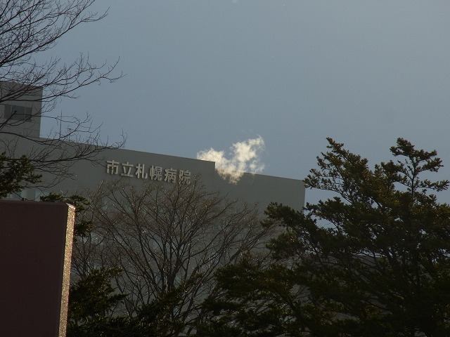 c0025115_174701.jpg