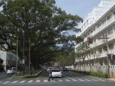 土佐女子中学高等学校南校舎耐震補強工事 竣工 Only One 建築設計 土佐女子中学高等学校南校舎耐震補強工事 竣工 Only One 建築設計