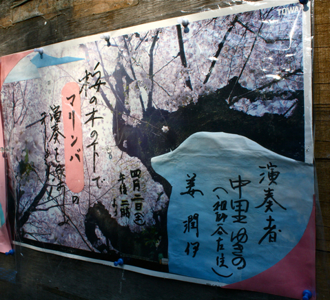 桜の木の下で 涙…。_f0170519_17355352.jpg