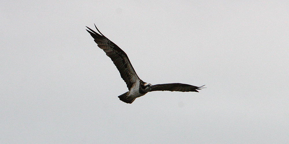 f0181821_11232760.jpg