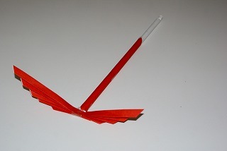 f0170524_11314750.jpg