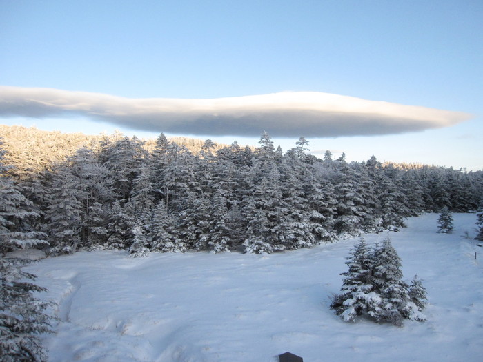 2009年11月19日の写真ー宇宙船_e0155231_17503467.jpg