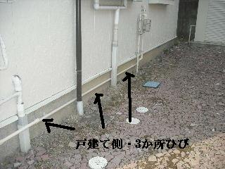 f0031037_21291.jpg