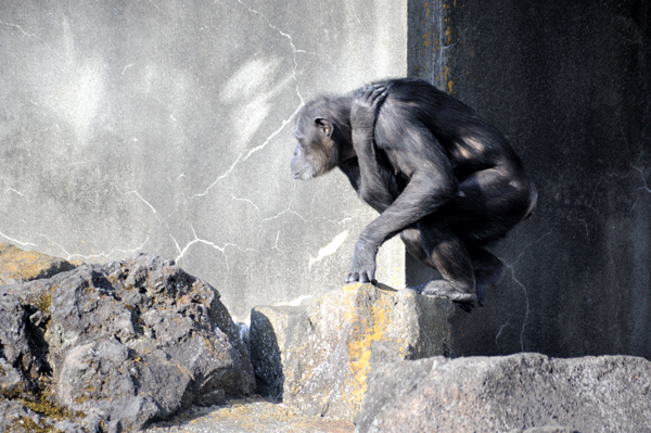 b0067346_2325193.gif