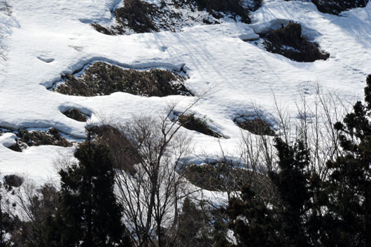 c0093046_17122015.jpg