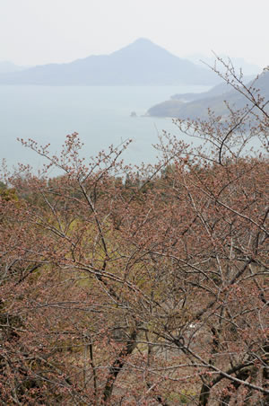 a0166150_16584748.jpg