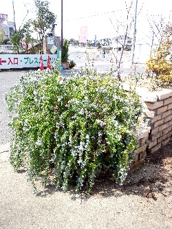 e0156650_19351867.jpg