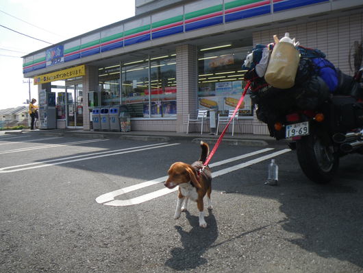 ワンデムタンデム２０１１０３２６（金）〜御殿場やまぼうし_f0046250_12454543.jpg