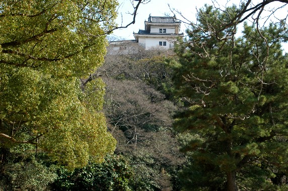 　　和歌山城公園にて_b0093754_23484967.jpg