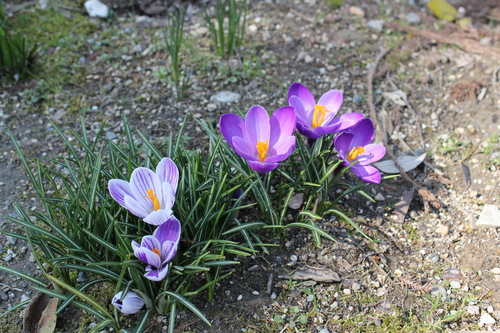 e0212855_1814537.jpg