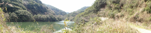 野の花と出会う会H23年4月度例会_c0108460_22464553.jpg