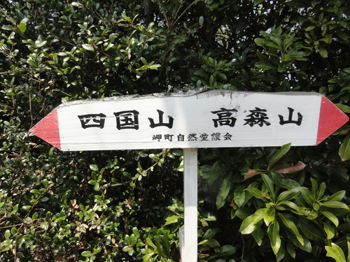 野の花と出会う会H23年4月度例会_c0108460_22492599.jpg