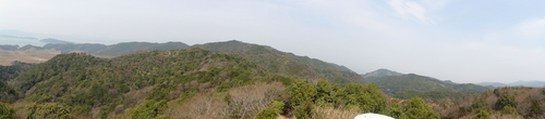 野の花と出会う会H23年4月度例会_c0108460_22552260.jpg
