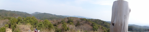野の花と出会う会H23年4月度例会_c0108460_22554410.jpg