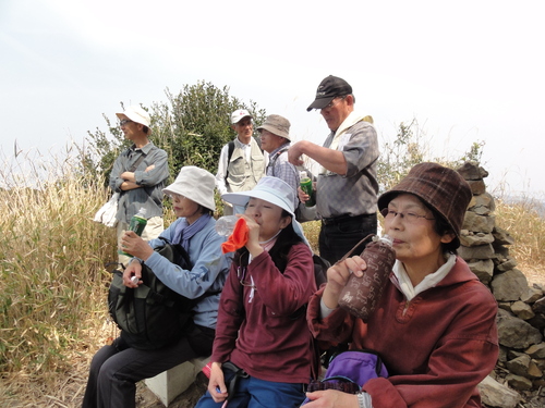 野の花と出会う会H23年4月度例会_c0108460_234587.jpg
