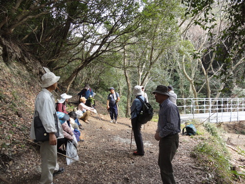 野の花と出会う会H23年4月度例会_c0108460_2371039.jpg