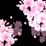 c0119160_62434.gif