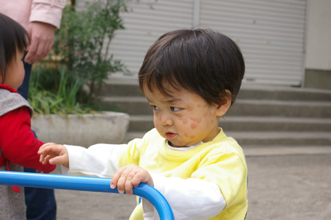 春、新年度: Spring has come_a0186568_2344582.jpg