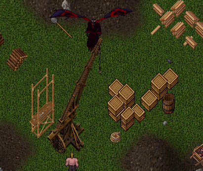 b0190672_13113942.gif