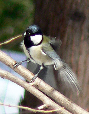 f0083977_1442976.jpg