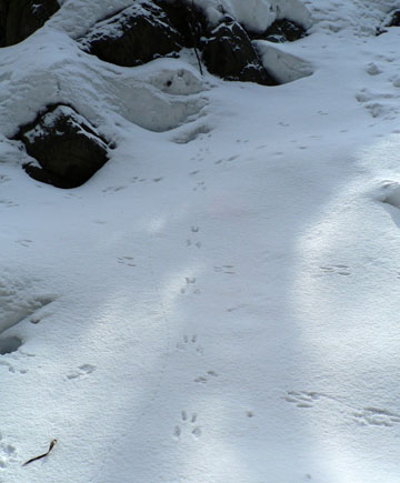 f0083977_14502437.jpg