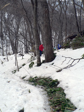 f0083977_1544353.jpg