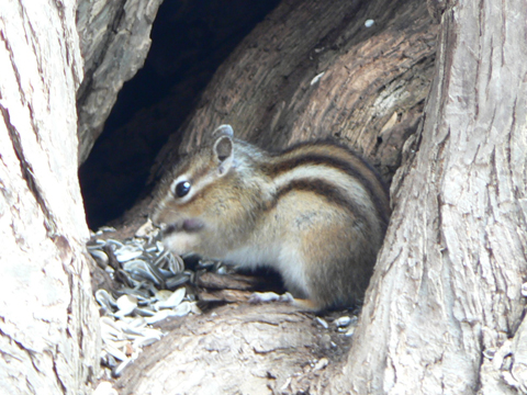 f0083977_1552255.jpg