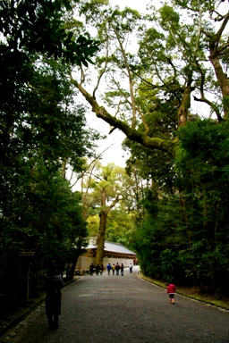 d0080882_11431557.jpg