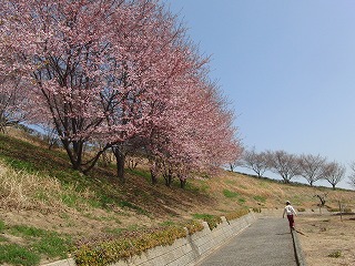 e0075686_5444429.jpg