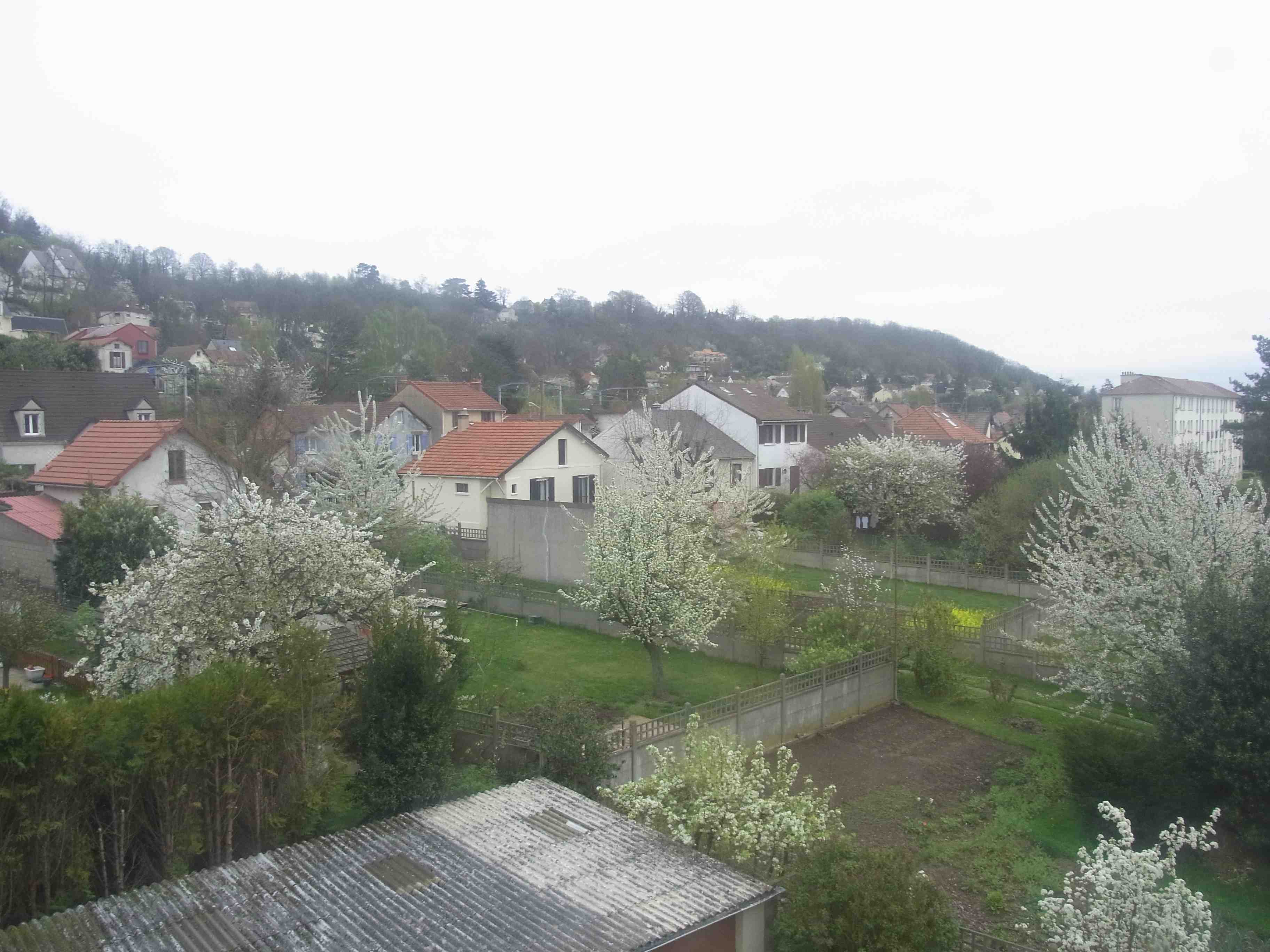e0153088_70589.jpg