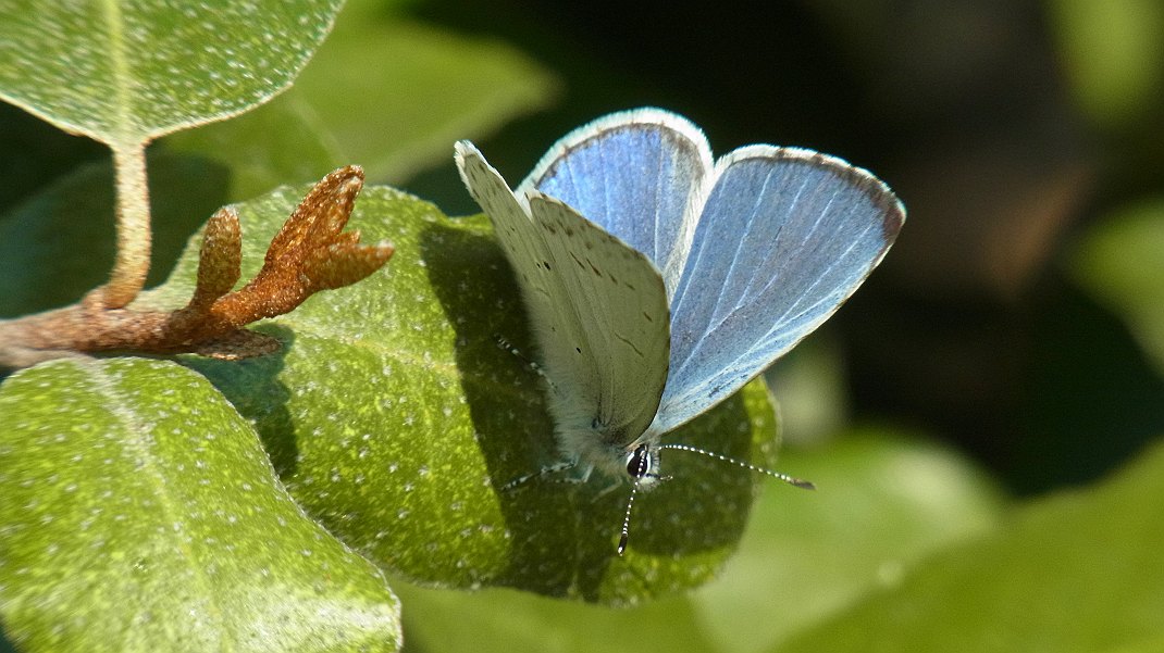 a0152692_18265112.jpg