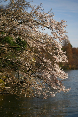 d0133693_19353790.jpg
