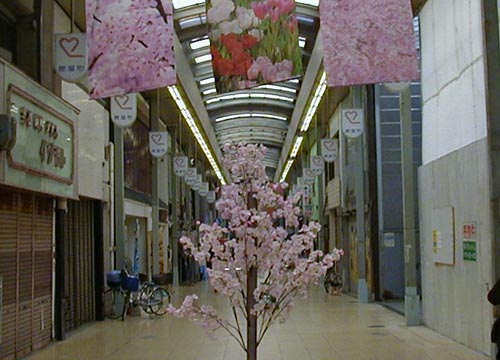 ●街中のさびしい桜、アゲインの続き_d0053294_13224250.jpg