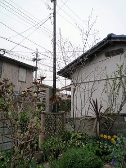 e0234004_21493624.jpg