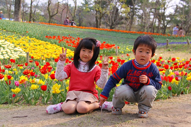 ♪どの花みても、きれいだな～_f0175804_2239436.jpg