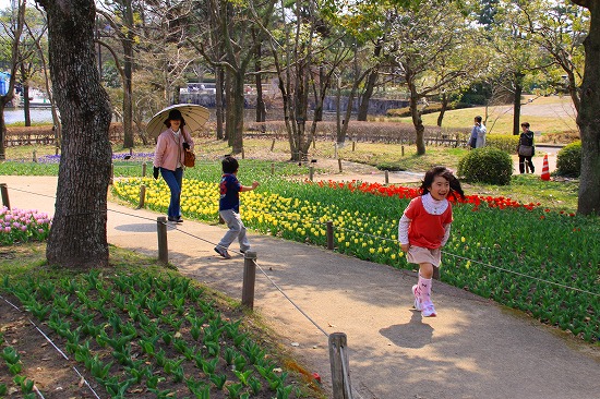 ♪どの花みても、きれいだな～_f0175804_22502584.jpg