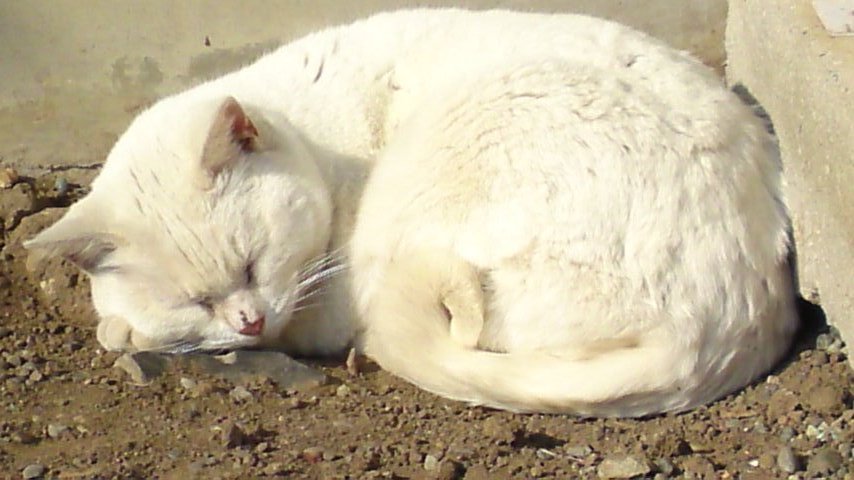 e0178307_6483813.jpg