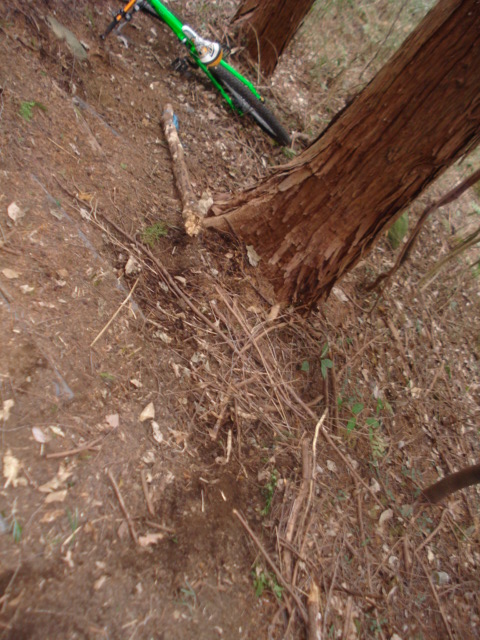 e0015108_22384035.jpg