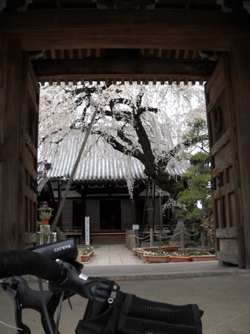 b0000209_19332821.gif