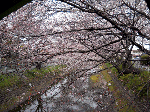 b0000209_19394728.gif