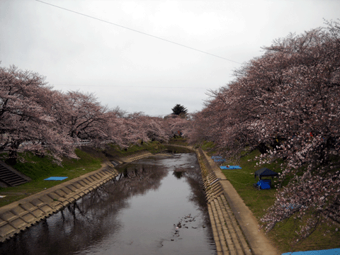 b0000209_1955573.gif