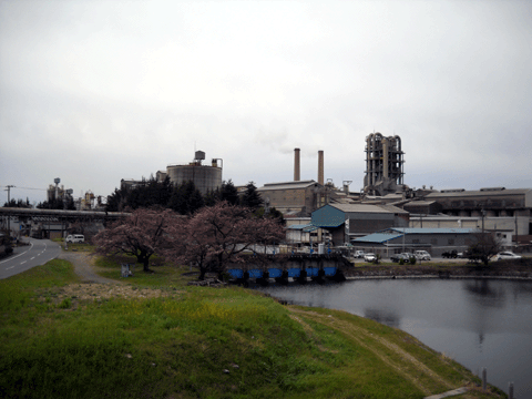 b0000209_20115126.gif