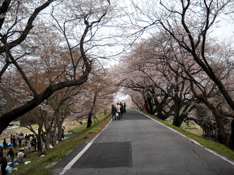 b0000209_20205811.gif