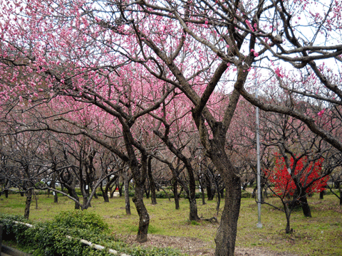 b0000209_203133.gif