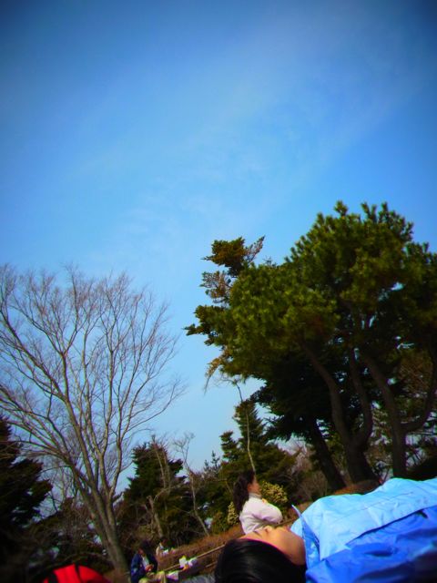 b0183911_20534281.jpg