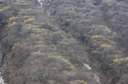 中岳 （大分県） 【九重連山】　1791ｍ_f0212511_1694153.jpg