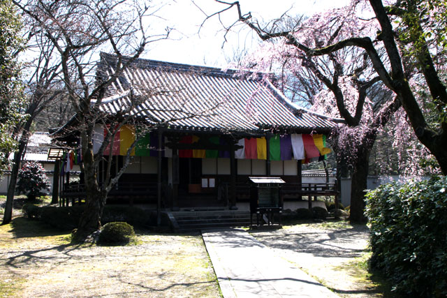 京の花だより 醍醐寺 報恩院_e0048413_19444653.jpg