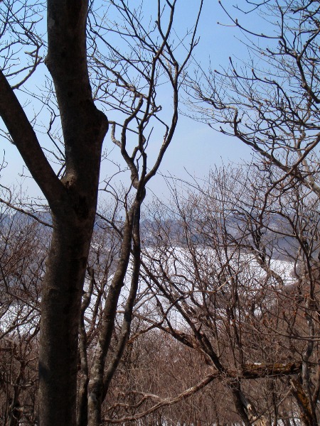 c0177814_15272079.jpg