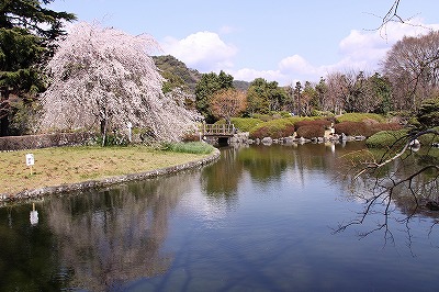 a0087818_15194163.jpg