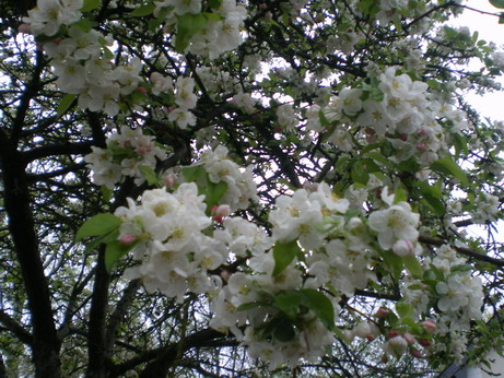 c0124619_2202177.jpg